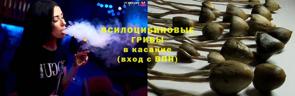 a pvp Арсеньев
