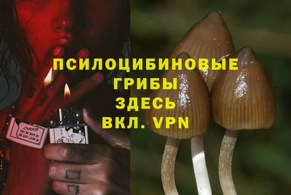 ГАЛЛЮЦИНОГЕННЫЕ ГРИБЫ Армянск