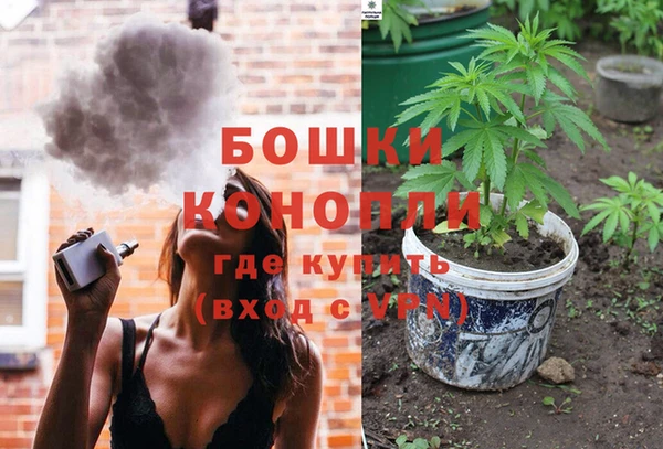 ГАЛЛЮЦИНОГЕННЫЕ ГРИБЫ Армянск